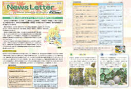 Newsletter 2024 Autumn号